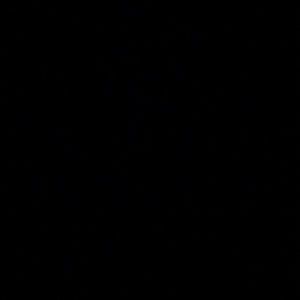 Meet your Posher, Will